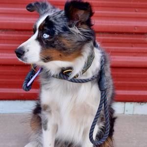 Meet your Posher, Natasha